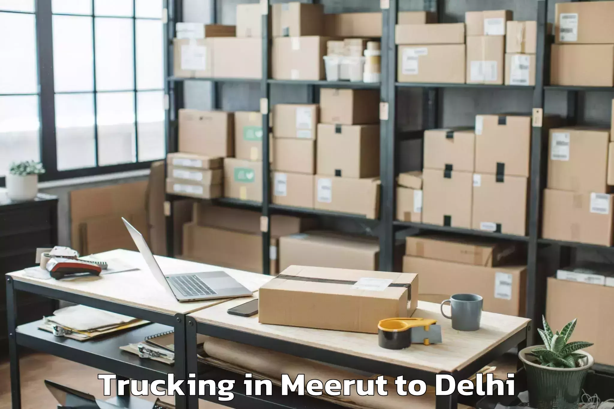 Easy Meerut to Naraina Trucking Booking